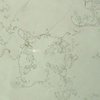 Bianco Perlino