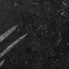 Fossile Black